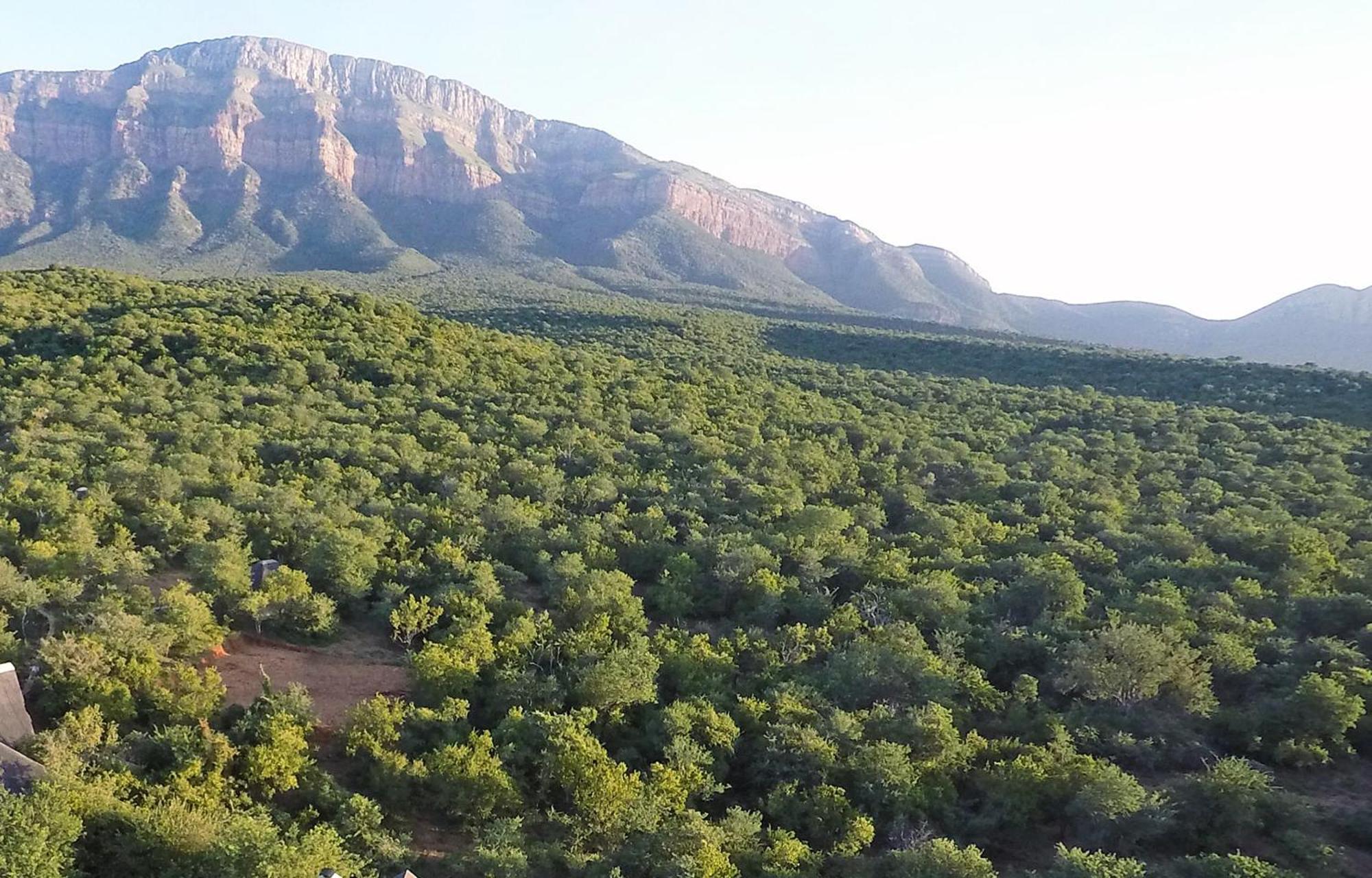 Shikwari Nature Reserve Hoedspruit Exterior foto